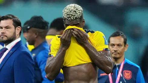 "Titular de la selección de Ecuador en eliminatorias y en la pasada Copa del Mundo".
