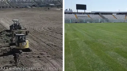 La nueva cancha del Estadio Monumental
