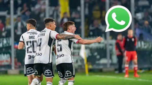 ¡DaleAlbo inauguró canal de Whatsapp para las noticias de Colo Colo!
