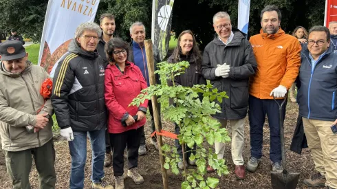 Colo Colo inicia el camino para ser carbono neutral
