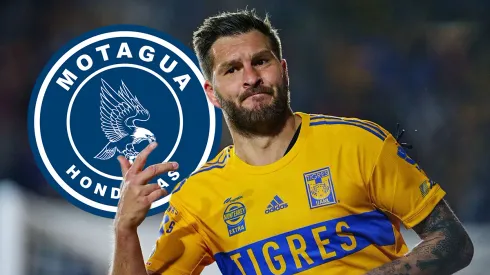 El valor de André-Pierre Gignac según Transfermarkt