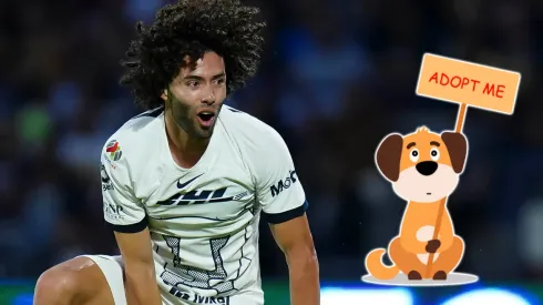 Pumas y César Huerta promueven la adopción de perros – Imago 7
