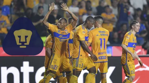 Tigres. | Getty Images
