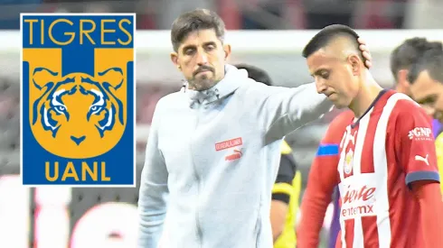 Tigres: Paunovic busca fichaje del Piojo Alvarado de Chivas
