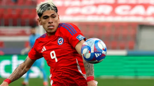 Polémica por la salida de Palacios en la selección: qué dijeron Vidal y Almirón.
