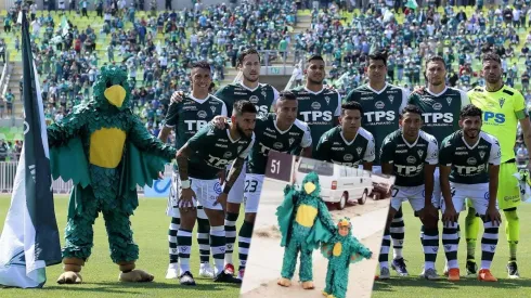 El nuevo Loro de Wanderers y el Lorito Matías.
