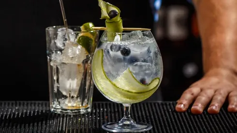 Trucos para preparar el mejor gin tonic de tu vida