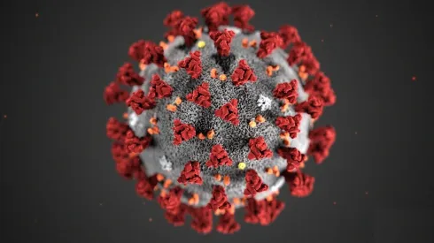 Así sería el virus.
