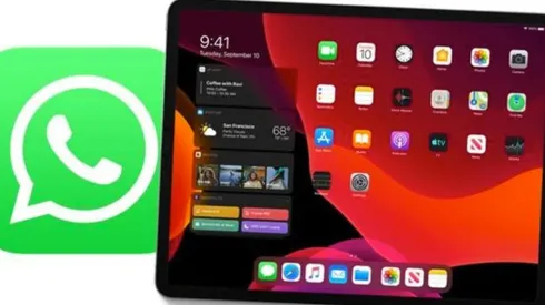 WhatsApp se alista para llegar al iPad de forma nativa