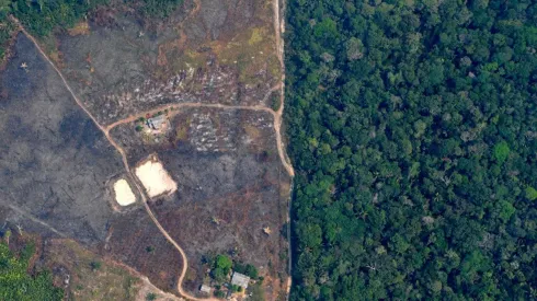 Desde el aire se pueden ver las deforestaciones de la Amazonía, como esta que corresponde al 2019.

