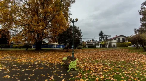 ¿Cuándo empieza el otoño y el invierno en Chile?
