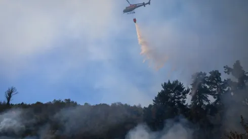 Alerta Roja por incendio forestal Jardín Botánico
