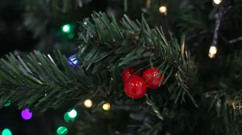Fiscalización de luces navideñas.
