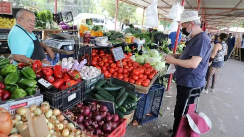 Mejores alimentos de Temporada ferias libres.

