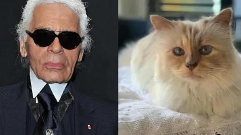 Choupette Lagerfeld fue invitada a la MET gala 2023.
