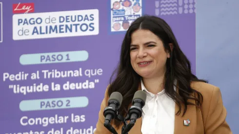 Ministra de la Mujer, Antonia Orellana
