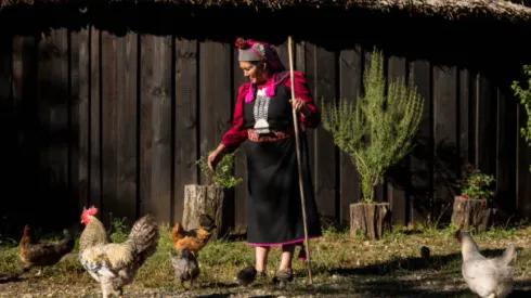 Celebración del año nuevo mapuche
