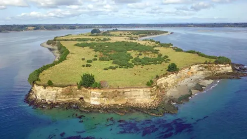  Empresa extranjera vende isla en Chiloé: ¿Cuál es y cuánto vale?
