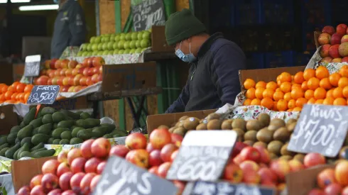 ¿Durante cuántos meses se entrega el Bolsillo Familiar 2023?
