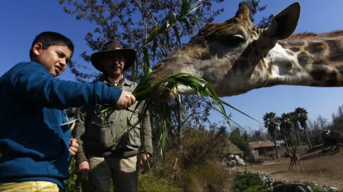 Buin Zoo
