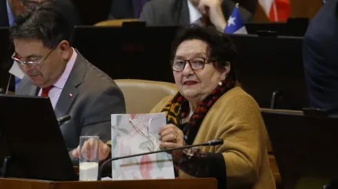 Diputada Maria Luisa Cordero 
