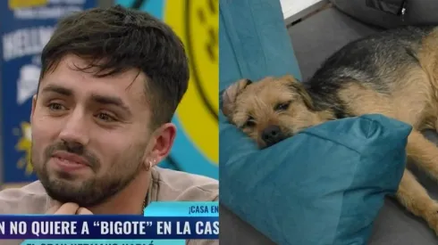 ¿Qué dijo Bambino sobre Bigote de Gran Hermano?
