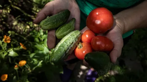 Recetas vegetarianas para Fiestas Patrias. 
