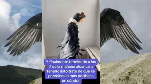 Mamá chilena se hace viral en TikTok por increíble disfraz que le hizo a su hijo.
