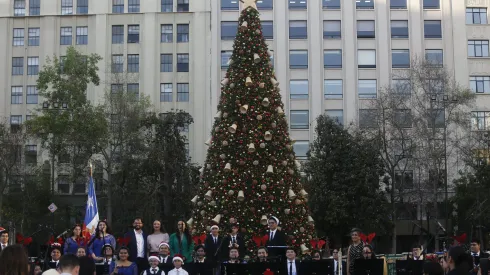 La tradición dicta el 8 de diciembre como el día ideal para armar el árbol de Navidad.
