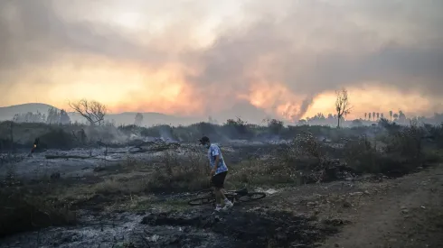 Limache, 9 de diciembre 2023<br />
Un gran incendio forestal que afecta la comuna de Limache que a consumido 450 hectareas.<br />
Jose Veas/Aton Chile
