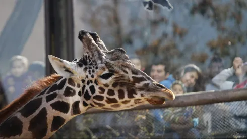 Zoológico Nacional
