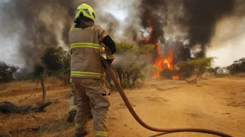 Bomberos combaten Incendio Forestal en Ninhue Norte (febrero 2023)
