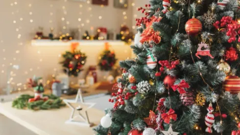 Aguinaldo de Navidad para pensionados.
