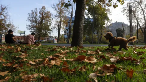 ¿Cuándo llega el otoño?
