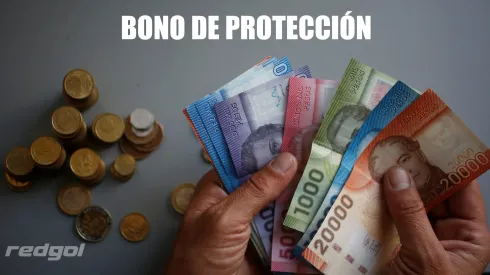Bono de Protección 2024.
