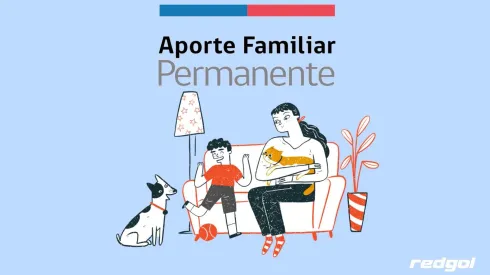 Aporte Familiar Permanente 2024.
