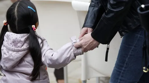 ¿Quiénes pueden recibir el SUF Automático?
