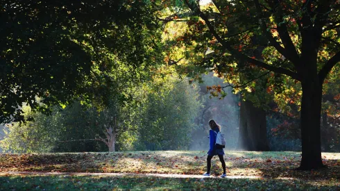 Otoño
