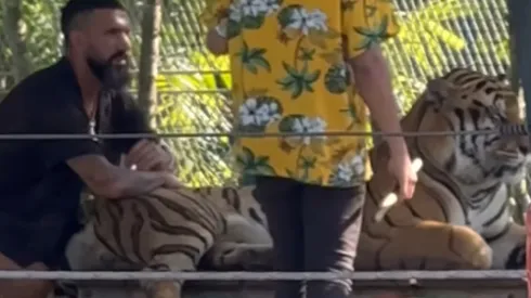 Ronnie Fernández fue captado posando junto a un tigre.
