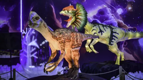 Panoramas: Conoce todo sobre el Dino Adventure para niños