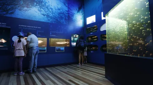 Museo en Chile.
