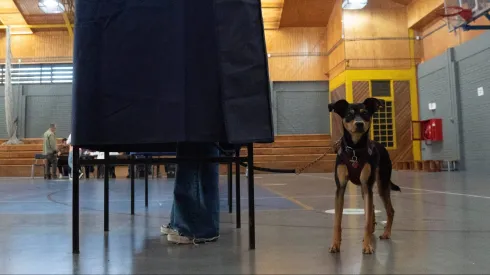 Aquí puedes consultar tu local de votación.
