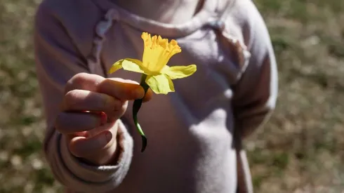 Niño sosteniendo una flor amarilla de narciso
