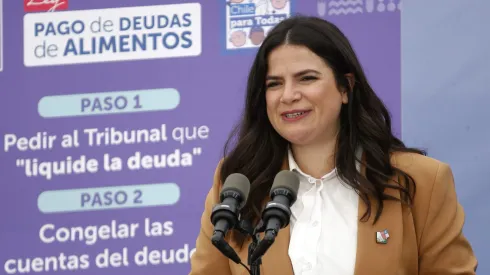 Ministra Antonia Orellana.
