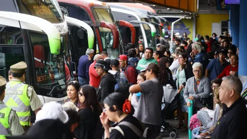 Nueva normativa de equipaje para buses interurbanos: Todo lo que debes saber