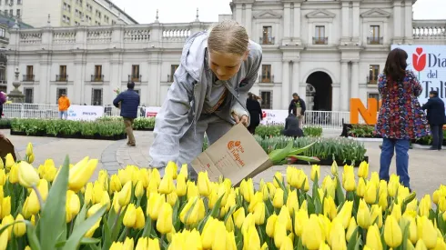 Santiago, 21 de septiembre de 2023.<br />
Día del Tulipán en La Moneda
