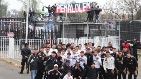 Arengazo albo.

