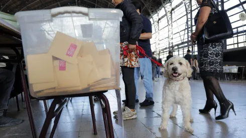 Elecciones 2024.
