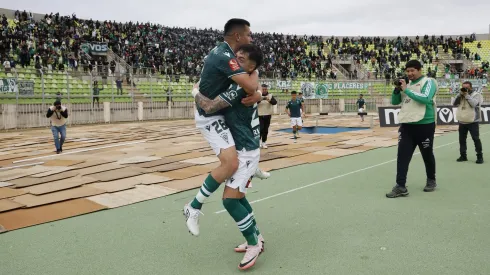 Caturros buscan nueva casa.
