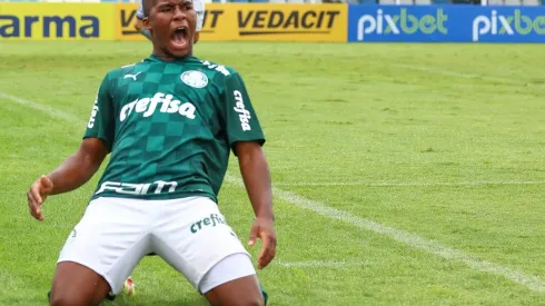 Endrick encanta os torcedores do Palmeiras
